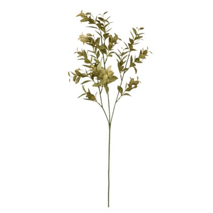 HASTE QUARESMEIRA VERDE - ALT 73 CM (B401-VD)