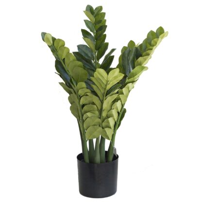 ARVORE ZAMIOCULCA - ALT 85 CM (BA028)