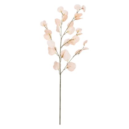 HASTE EUCALIPTO PESSEGO - ALT 85 CM (E083)