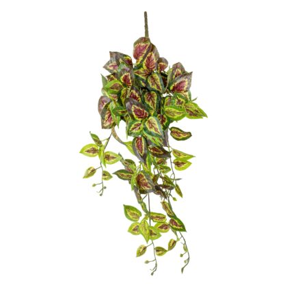 PENDENTE COLEUS - ALT 80 CM (E085)