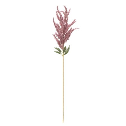 HASTE ASTILBE - ALT 1.40 M (GJ034)