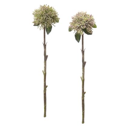 HASTE SEMENTES (2 CORES) - ALT 44 CM (GJ062)