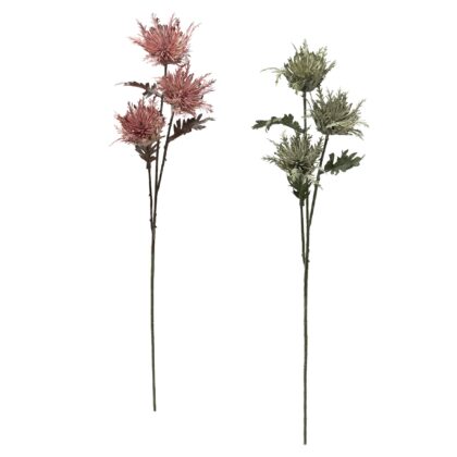 HASTE AZEVINHO DO MAR (2 CORES) - ALT 67 CM (GJ066)