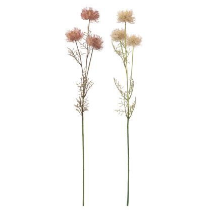 HASTE AZEVINHO DO MAR (2 CORES) - ALT 79 CM (GS011)