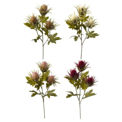 HASTE DIPSACUS X 3 (4 CORES) - ALT 56 CM (HF202)