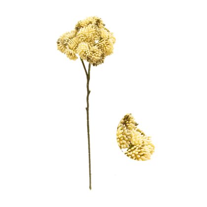 HASTE SEDUM - ALT 46 CM (HF206-CR)