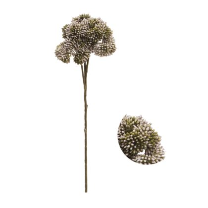 HASTE SEDUM - ALT 46 CM (HF206-ROX)