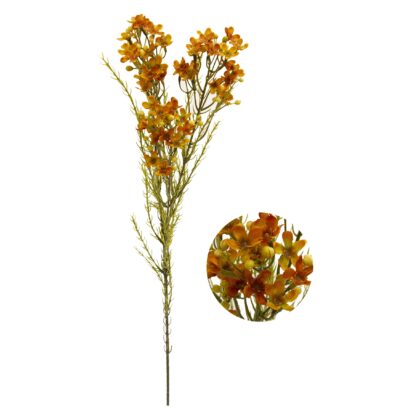 HASTE ASTERACEAE - ALT 72 CM (HF207-LAR)