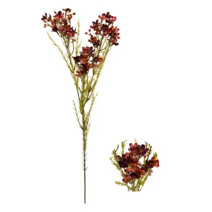 HASTE ASTERACEAE - ALT 72 CM (HF207-MR)