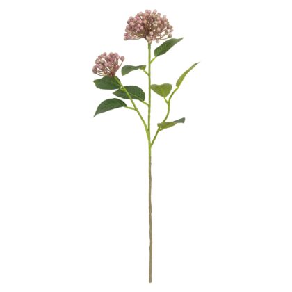 HASTE SKIMMIA - ALT 55 CM (HF217-LIL)