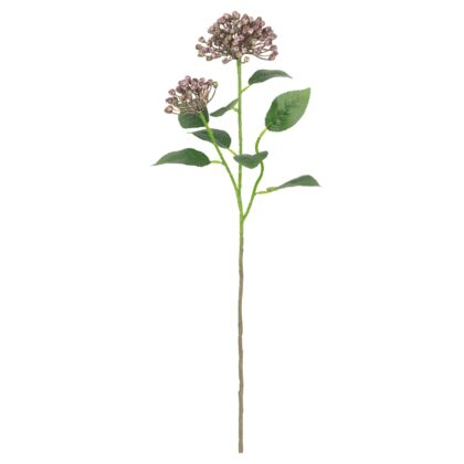 HASTE SKIMMIA - ALT 55 CM (HF217-VD)