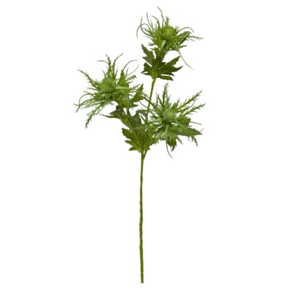 HASTE AZEVINHO DO MAR - ALT 67 CM (HF218-VD)