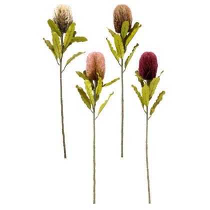 HASTE BANKSIA (4 CORES) - ALT 65 CM (HF230)