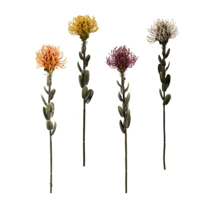 HASTE PROTEA TROPICAL (4 CORES) - ALT 60 CM (HF239)