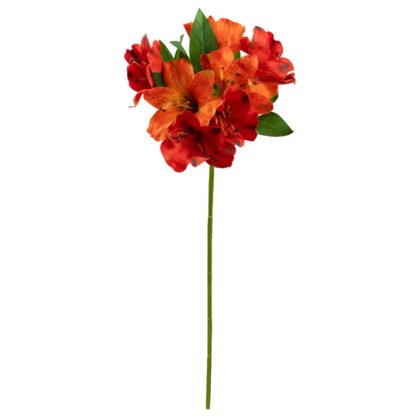 HASTE ASTROMELIA LARANJA - ALT 48 CM (HF241-1)