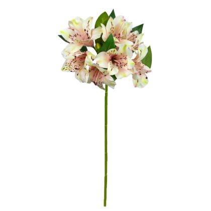 HASTE ASTROMELIA CREME - ALT 48 CM (HF241-2)