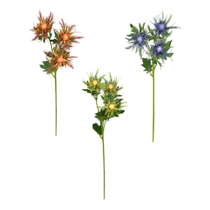 HASTE AZEVINHO DO MAR (3 CORES) - ALT 70 CM (HF243)