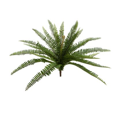 BUQUE DE SAMAMBAIA 25 FOLHAS - ALT 48 CM (JC002)