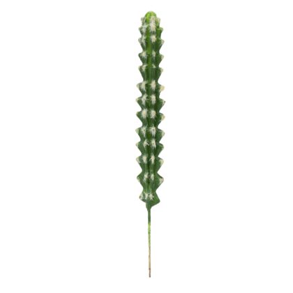 HASTE DE CACTO PILOSOCEREUS TOQUE REAL - ALT 29 CM (JY046-2)