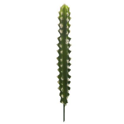 HASTE DE CACTO PILOSOCEREUS TOQUE REAL - ALT 35 CM  (JY046-3)