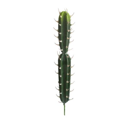 HASTE DE CACTO STENOCEREUS TOQUE REAL - ALT 55 CM  (JY049-2)