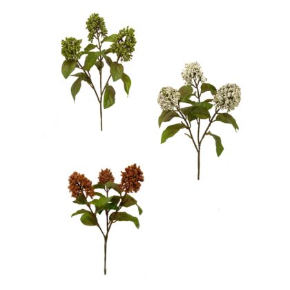 HASTE PENTAS OUTONADO (3 CORES) - ALT 21 CM (JY071)