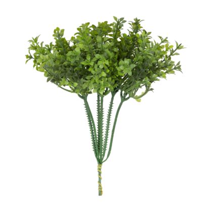 B. PICK FOLHA DE LARANJEIRA X6 - ALT 20 CM (LY027)