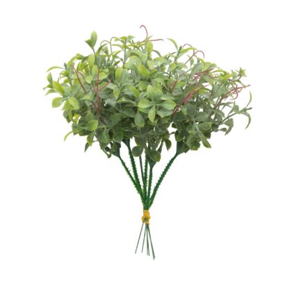 B. PICK PEPEROMIA COM PO X6 - ALT 20 CM (LY030)