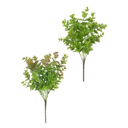 BUQUE MINI COSTELA DE ADAO (2 CORES) - ALT 37 CM (LY220)