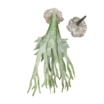 PENDENTE CHIFRE DE VEADO - ALT 72 CM (LY224)