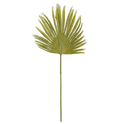 HASTE PALMEIRA LEQUE - ALT 78 CM (LY234)