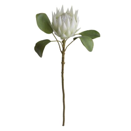 HASTE DE PROTEA BRANCA - ALT 66 CM (MS001-BR)
