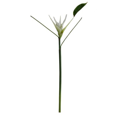 HASTE HELICONIA TOQUE REAL BRANCA - ALT 85 CM (MS030-BR)