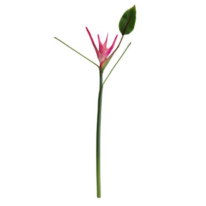 HASTE HELICONIA TOQUE REAL PINK - ALT 85 CM (MS030-PK)