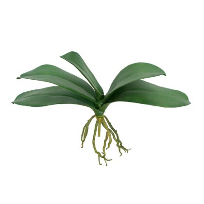 F. ORQUIDEA PHALAENOPSIS X 5 COM RAIZ TOQUE REAL - ALT 32 CM (MX015)