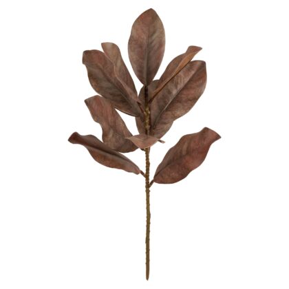 HASTE FOLHA DE MAGNOLIA TOQUE REAL - ALT 55 CM (MX085-2)