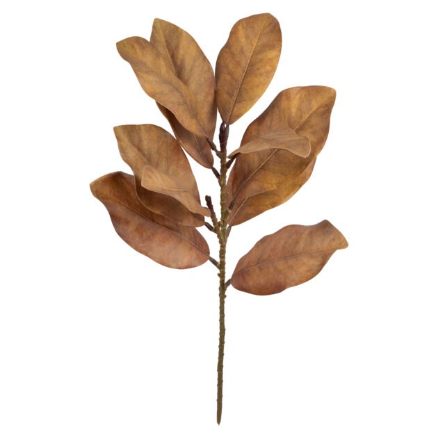 HASTE FOLHA DE MAGNOLIA TOQUE REAL - ALT 55 CM (MX085-3)