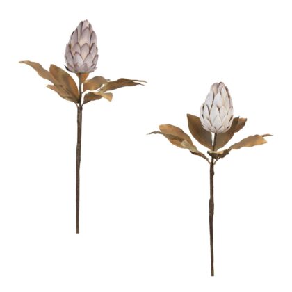 HASTE PROTEA (2 CORES) - ALT 45 CM (MX217)