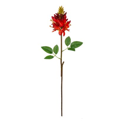 HASTE FLOR DE JADE VERMELHO - ALT 68 CM (MX308-VM)