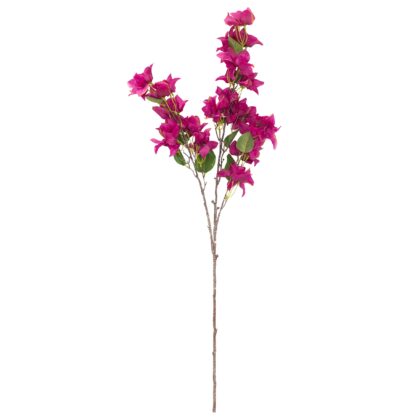 HASTE BOUGAINVILLEA PINK - ALT 1.10 M (MX701)