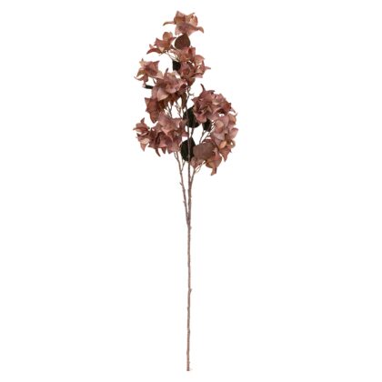 HASTE BOUGAINVILLEA MARROM - ALT 110 CM (MX704-2)