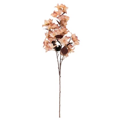 HASTE BOUGAINVILLEA SALMAO - ALT 110 CM (MX704-4)