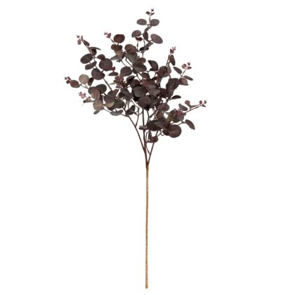 HASTE EUCALIPTO OUTONADO - ALT 76 CM (MX752-1)