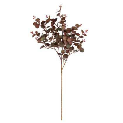 HASTE EUCALIPTO OUTONADO - ALT 76 CM (MX752-3)