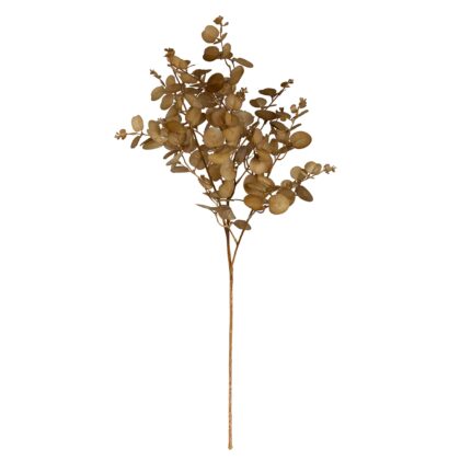 HASTE EUCALIPTO OUTONADO - ALT 76 CM (MX752-5)