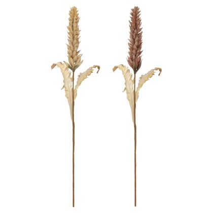 HASTE GINGER (2 CORES) - ALT 103 CM (MX757)