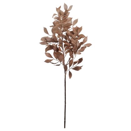 HASTE EUCALIPTO MARROM - ALT 80 CM (MX761-1)