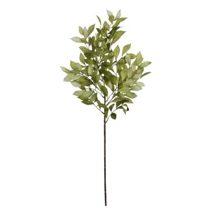 HASTE EUCALIPTO VERDE - ALT 80 CM (MX761-4)