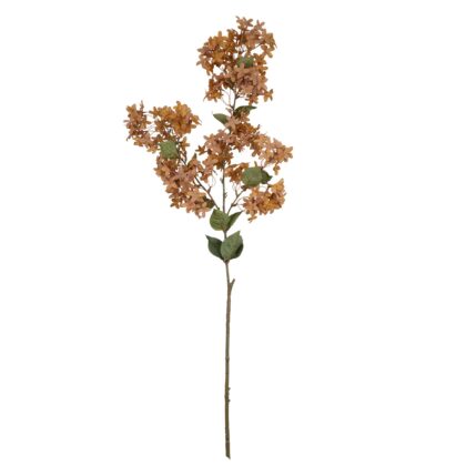 HASTE LILAC FERRUGEM GG - ALT 1.20 M (MX769-2)