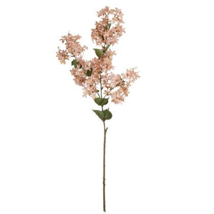 HASTE LILAC ROSE GG - ALT 1.20 M (MX769-3)